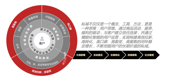 鸟哥笔记,用户运营,见实,用户需求,私域流量,增长策略,增长,品牌,品牌