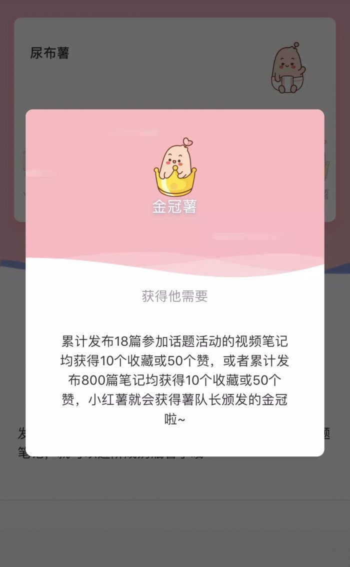 鸟哥笔记,新媒体运营,麋鹿先生sky,小红书,增长