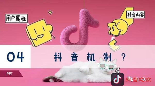 关于抖音的算法及机制，有多少可信度？