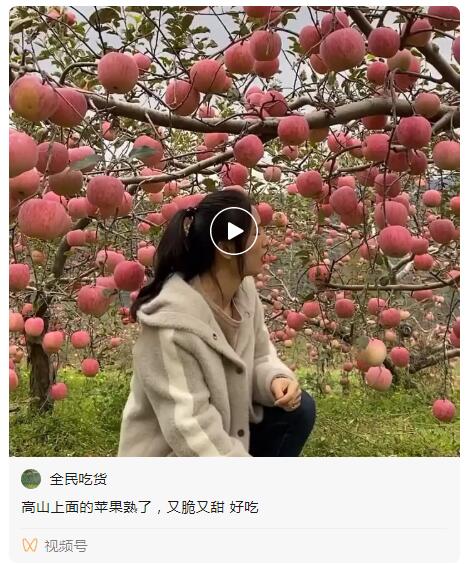 QQ截图20210202082640.jpg QQ截图20210202082640.jpg