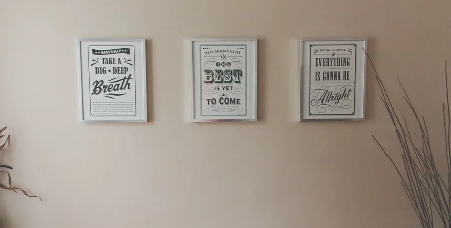 鸟哥笔记,新媒体运营,秀才有料,变现,新媒体运营,新媒体运营,知乎,转化,内容运营