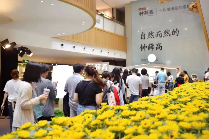 鸟哥笔记,用户运营,见实,私域流量,增长策略,增长,获客,品牌,营销,产品,品牌,用户增长,用户运营 鸟哥笔记,用户运营,见实,私域流量,增长策略,增长,获客,品牌,营销,产品,品牌,用户增长,用户运营