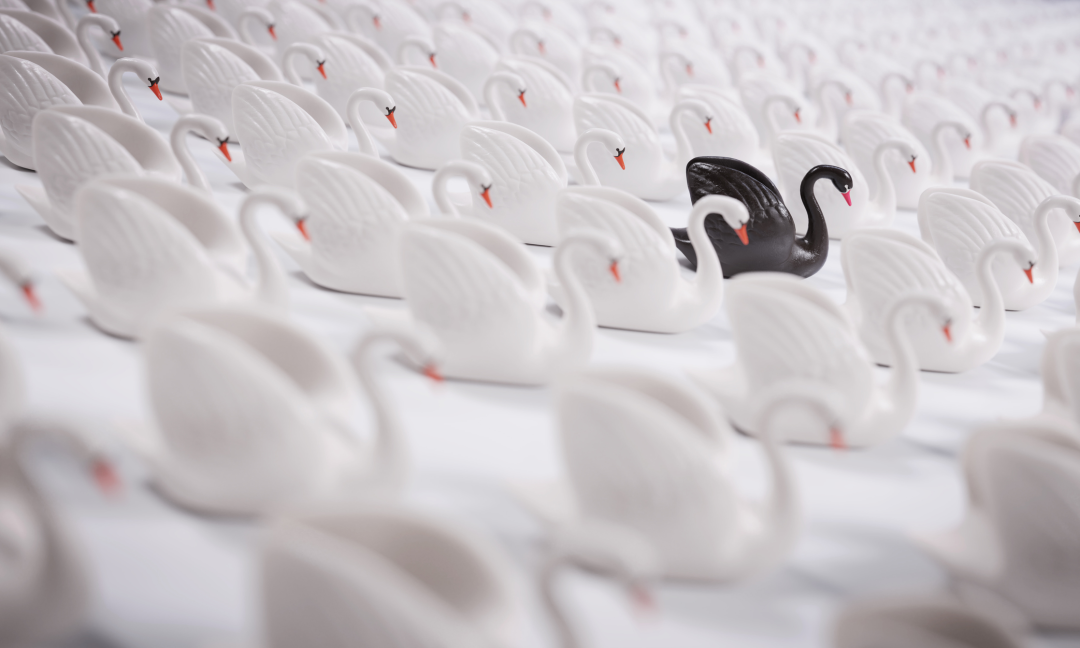 鸟哥笔记,活动运营,刘润,春晚红包,活动准备,复盘,活动总结,活动