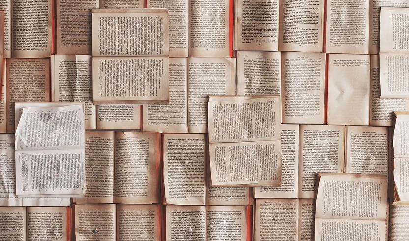 鸟哥笔记,新媒体运营,秀才有料,变现,新媒体运营,新媒体运营,知乎,转化,内容运营