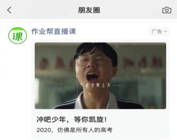 鸟哥笔记,活动运营,野生的独孤菌,目标用户,总结,案例分析,案例