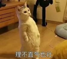 鸟哥笔记,活动运营,炏的黑匣子,总结,案例分析,活动案例,活动