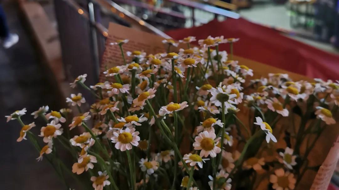 鸟哥笔记,新媒体运营,文案的事,思维,公众号,文案,创意,新媒体营销