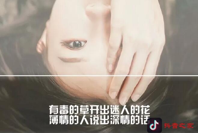 盘点抖音最火最伤感的句子