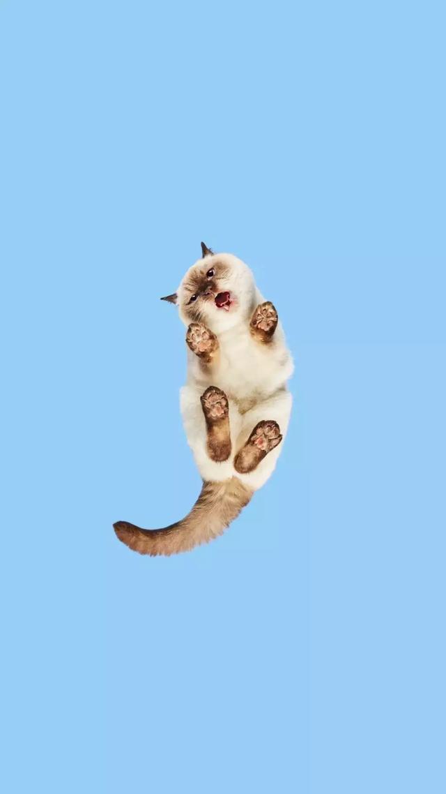 抖音超火高清手机壁纸