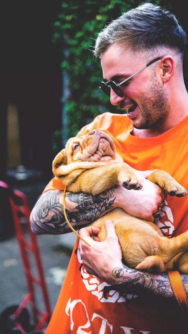 抖音超火高清手机壁纸