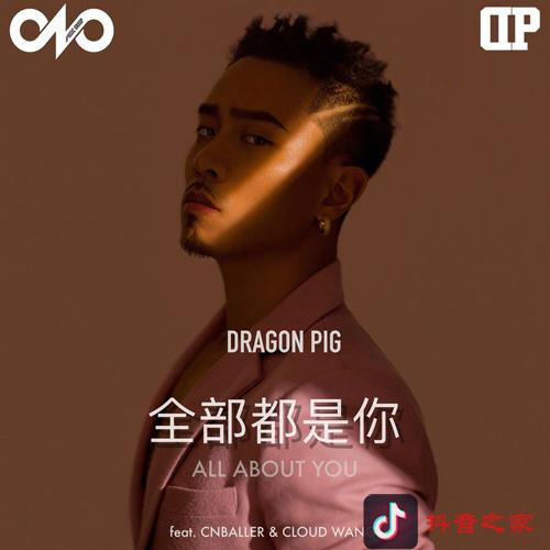 2019年抖音最火的10大神曲排行榜